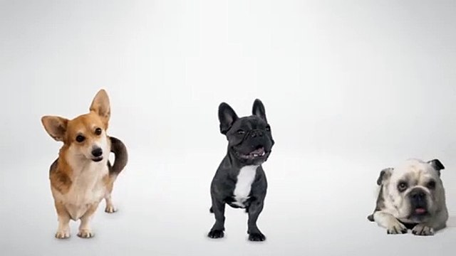 Clifford der große rote Hund Teaser OV