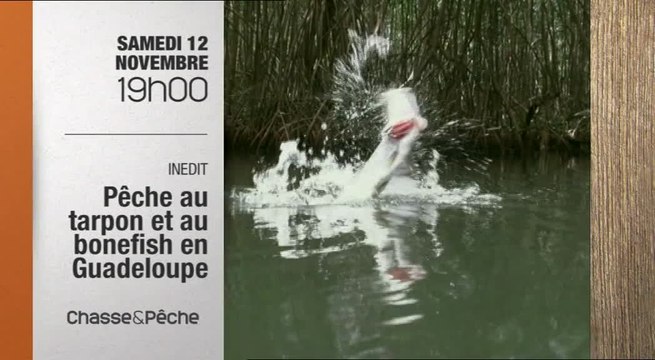 Pêche au tarpon et au bonefish en Guadeloupe - Chasse et pêche