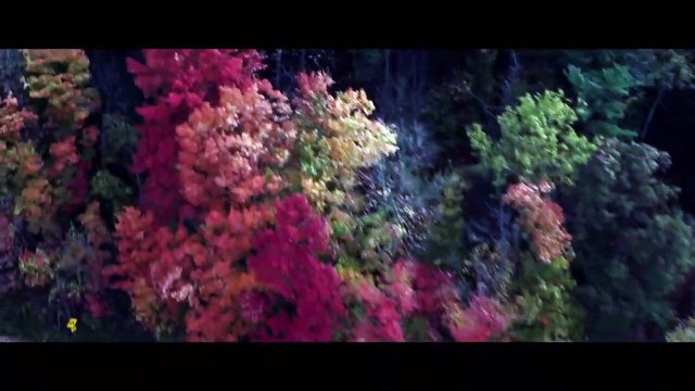 Clarice Starling - Das Erwachen der Lämmer Teaser OV