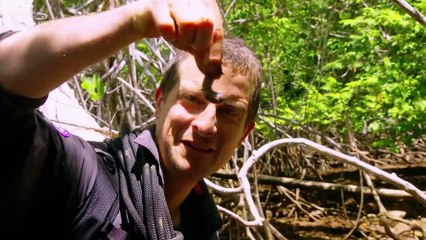 Bear Grylls: Stars am Limit - staffel 5 Trailer OV
