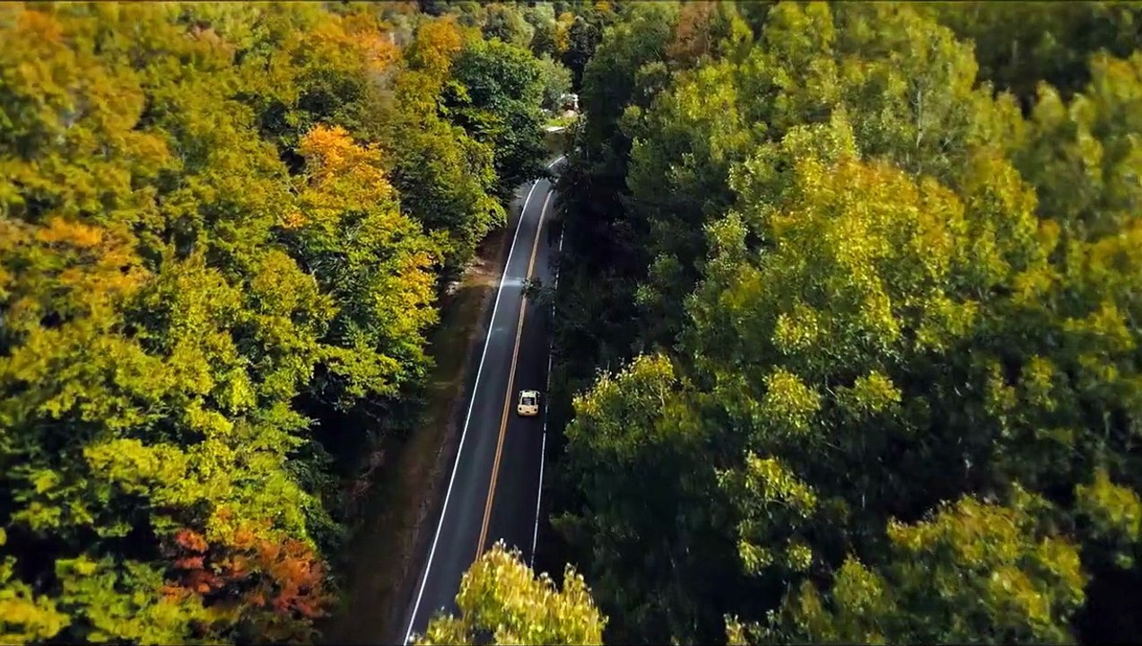 What Lies Below Trailer DF