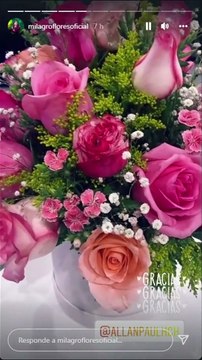 VÍDEO | ¿Será que florece el amor? Allan Paul comienza su lucha para conquistar a Milagro Flores