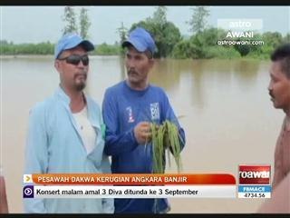 Pesawah dakwa kerugian angkara banjir