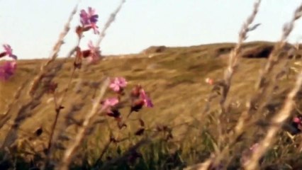 The Pembrokeshire Murders Trailer OV