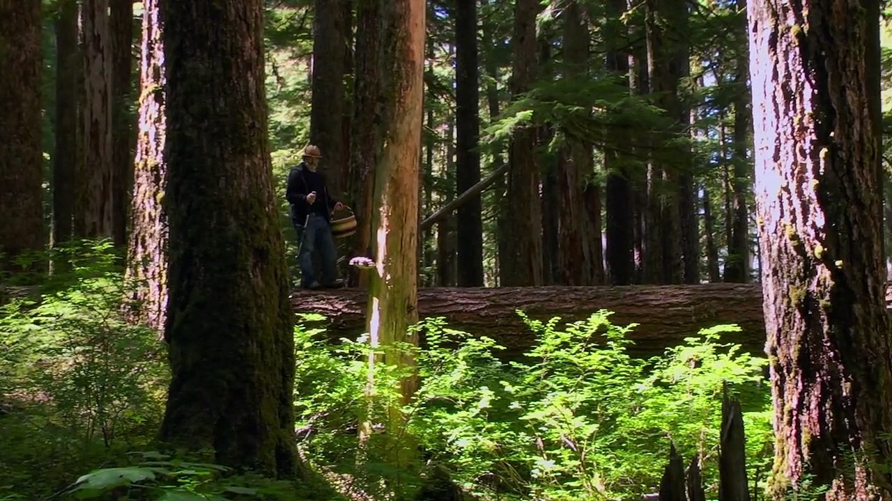 Fantastische Pilze - Die magische Welt zu unseren Füßen Trailer DF