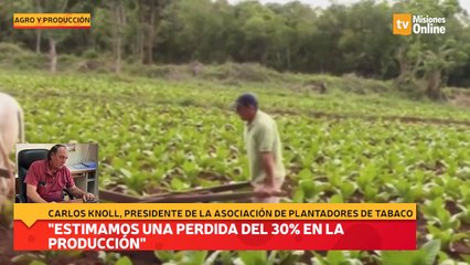 "Estimamos una pérdida del 30% en la producción"