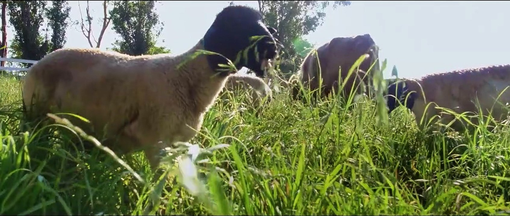 Unsere große kleine Farm Trailer DF