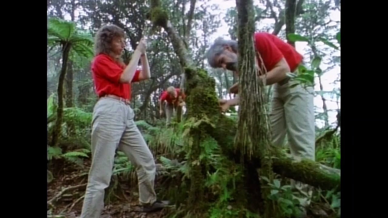 Spaceship Earth Trailer DF