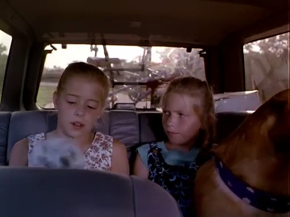 Die Vögel II - Die Rückkehr Trailer DF