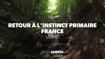 Retour à l'instinct primaire (rmc découverte) saison 2