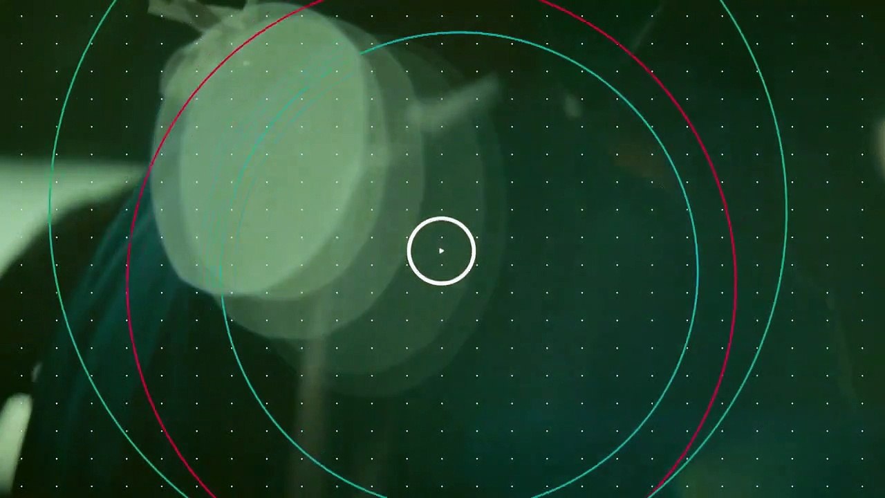 Dr. Death Trailer DF