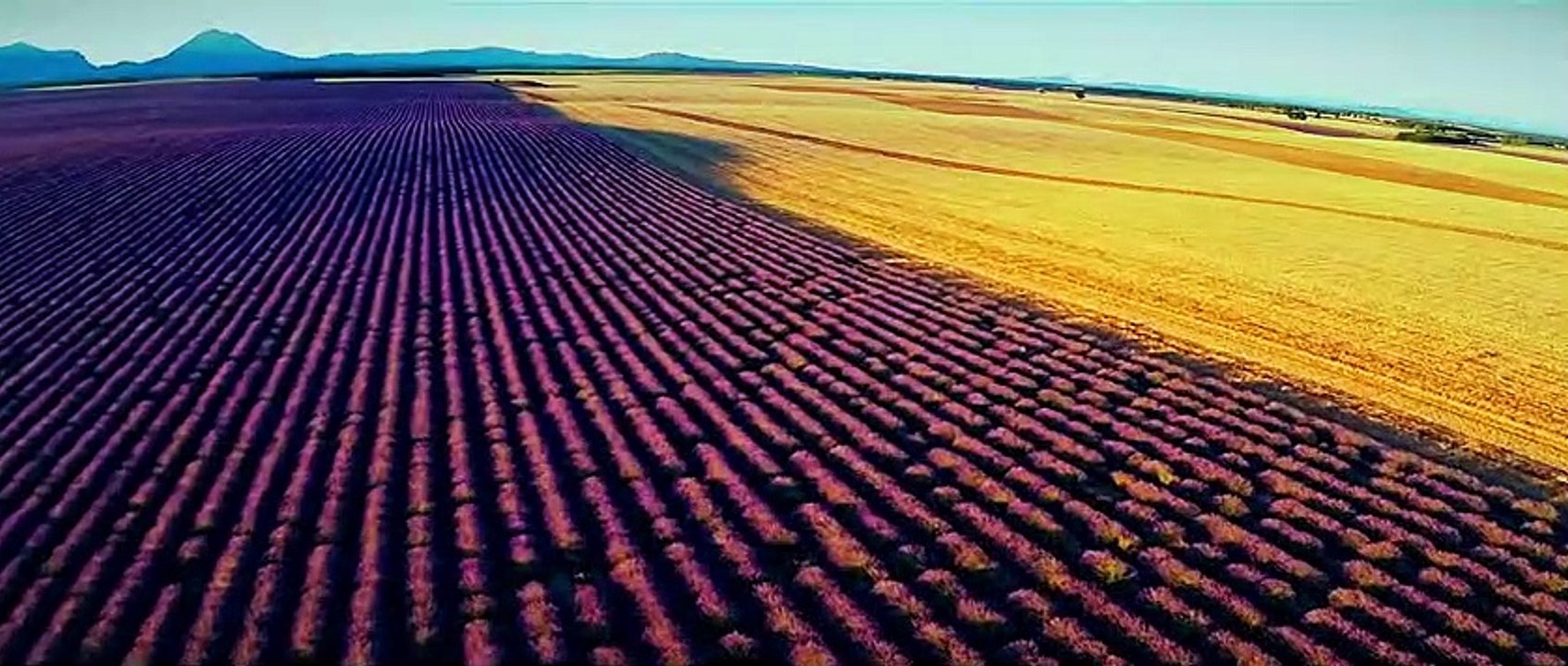 Affenkönig Teaser DF