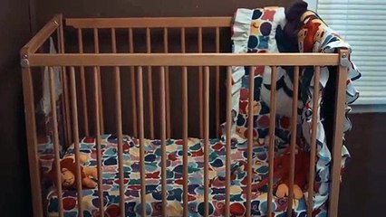 It Lives Inside Trailer OV