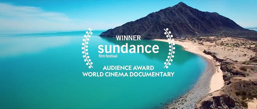 Sea of Shadows - Der Kampf um das Kokain des Meeres Trailer (2) OV