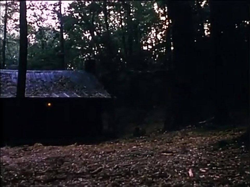 Tanz der Teufel 2 Trailer DF