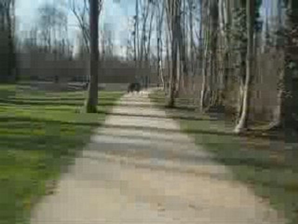 Retour du tonnerre mécanique