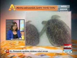 Penyu menangis siapa yang tahu