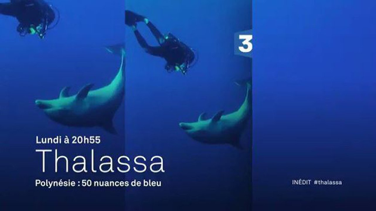 Thalassa - Polynésie française - 16 10 17 - France 3