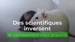 Des scientifiques inversent le vieillissement chez la souris