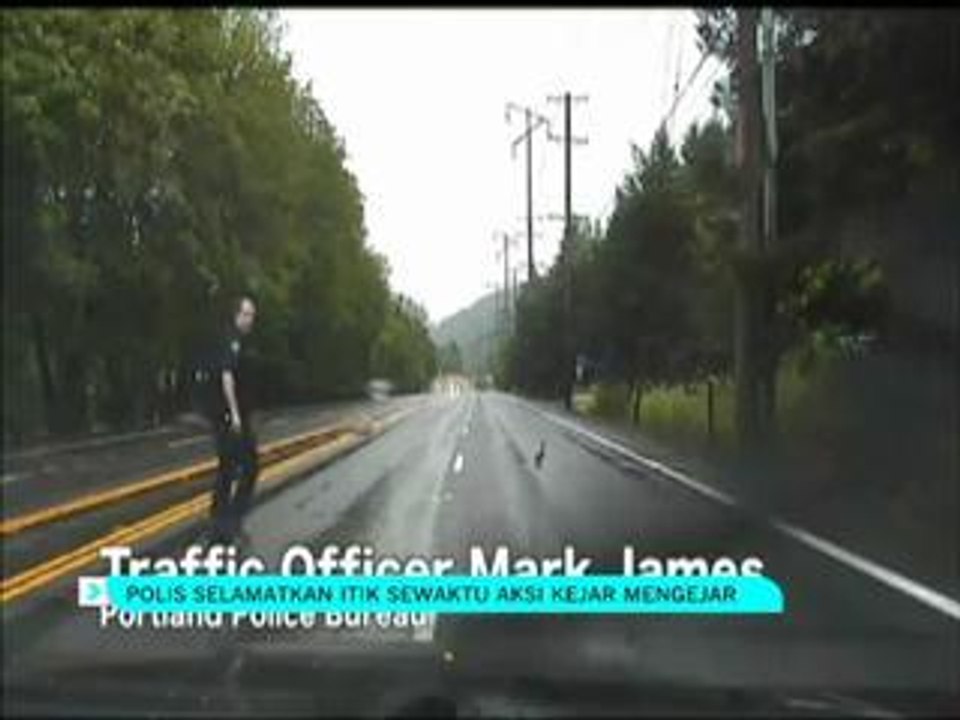 Polis selamatkan itik sewaktu aksi kejar mengejar