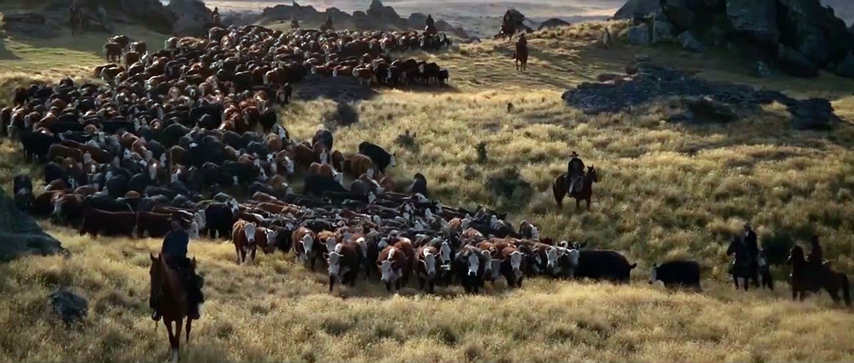 The Power of the Dog Teaser DF