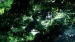 Ryuichi Sakamoto: Coda Trailer OmU