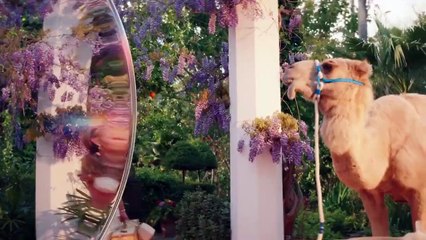 Little Birds - Stadt ohne Tabus Trailer (2) OV