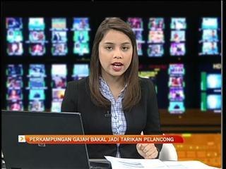 Perkampungan gajah jadi tarikan pelancongan