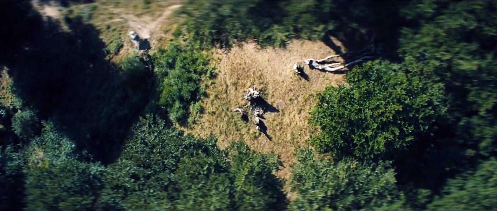 Walhalla - Die Legende von Thor Trailer DF