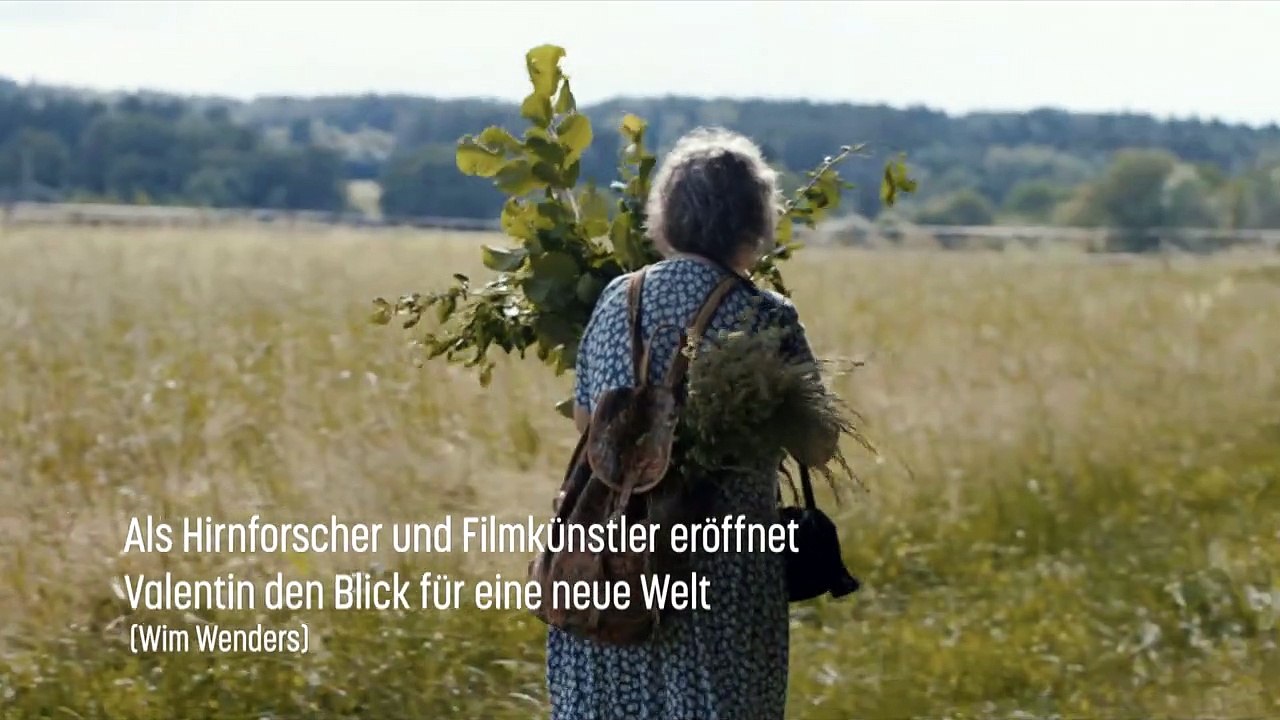 Lost In Face Trailer DF