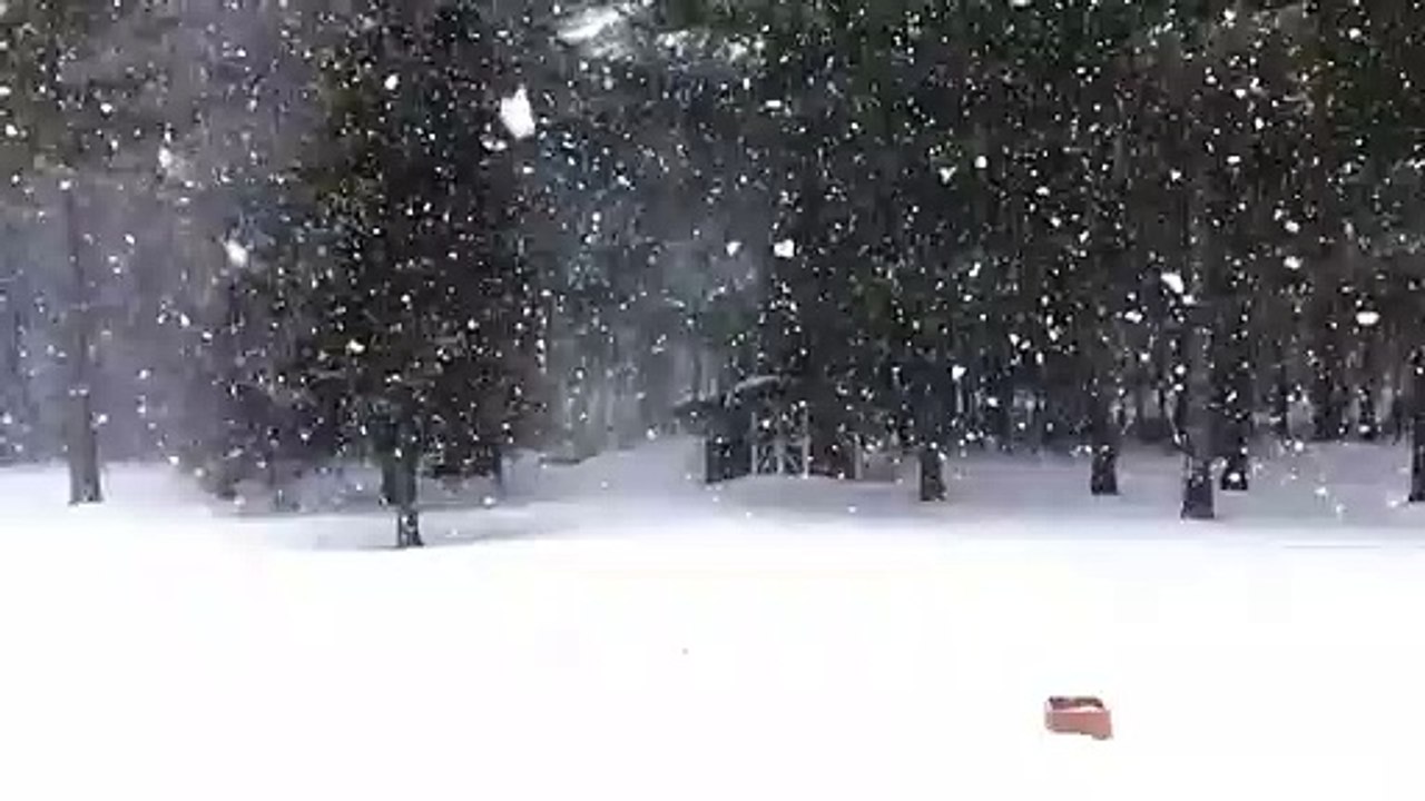 Mirza Ghulam qadiani from rags to riches