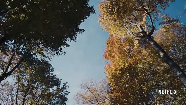 Recovery Boys - Jeder Versuch zählt Trailer OV