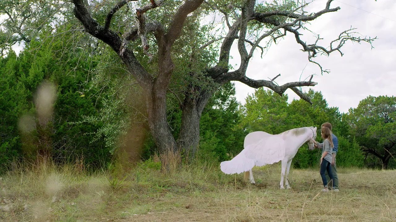 Pegasus - Das Pferd mit den magischen Flügeln Trailer DF