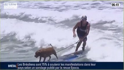 Zapping sport du 29/06 : faire du surf avec son chien !