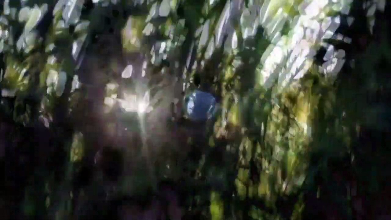 Becoming Animal Trailer DF