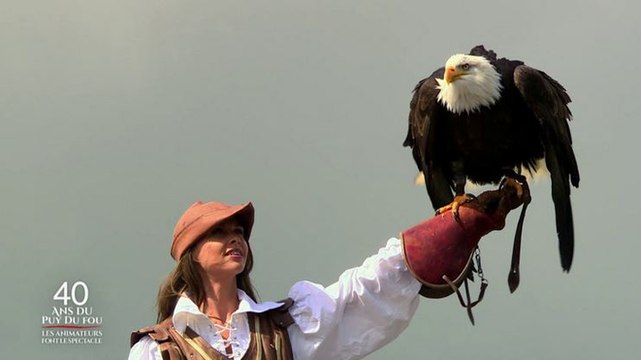 Les 40 ans du Puy du fou - M6