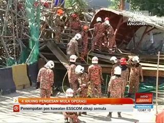 4 anjing pengesan mula operasi