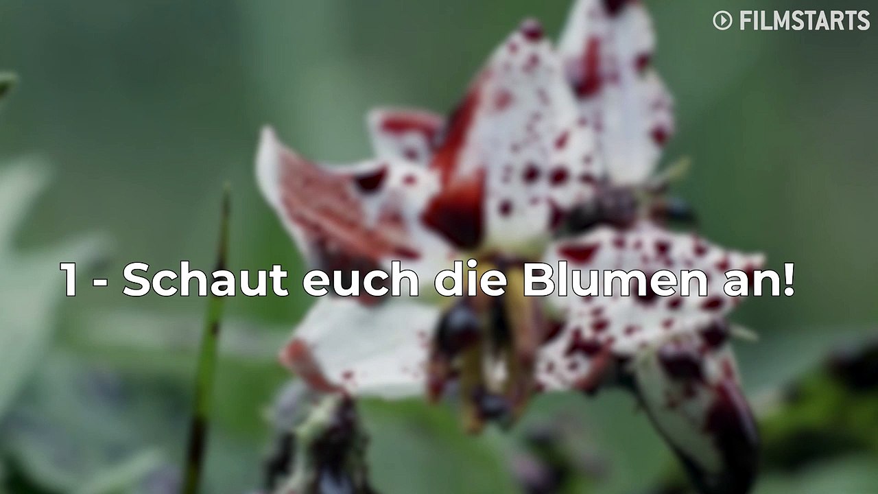 Die besten Momente aus 'The Walking Dead' Staffel 10 Folge 19 (FILMSTARTS-Original)