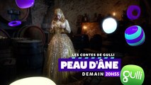 Les contes de Grimm (peau d’âne) - gulli - 26 10 18