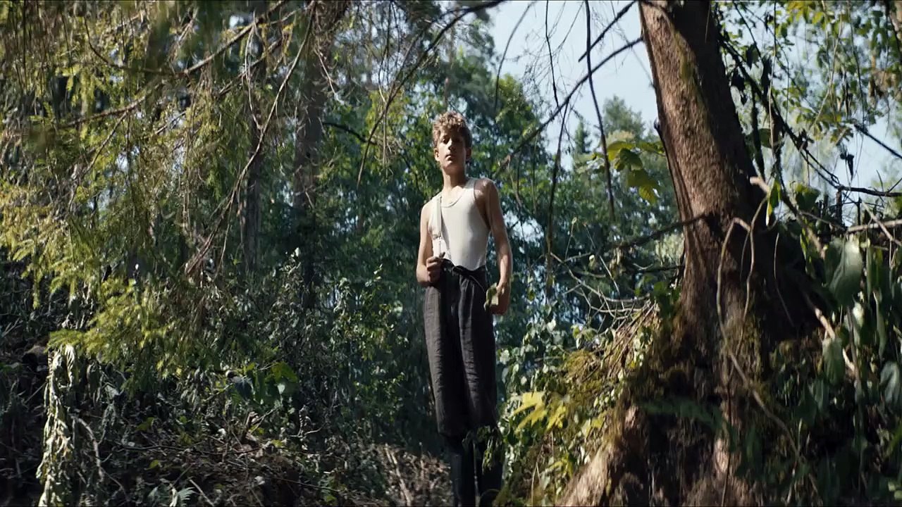 Pferde stehlen Trailer DF