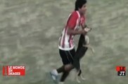 Zapping Sport du 22/06 : Scandale, un footballeur argentin maltraite un chien sur un terrain