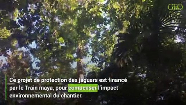 Au Mexique, bientôt un train maya qui traversera toute la péninsule du Yucatán