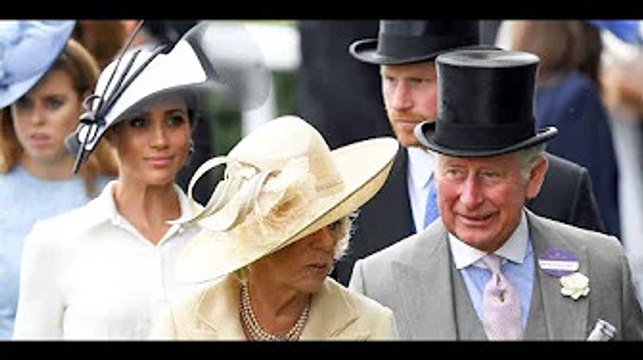 Prince Charles and Camilla Keep a Sweet Portrait from Prince Harry and Meghan's Wedding in Living Ro