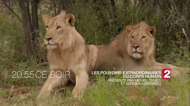 Les pouvoirs extraordinaires du corps humain (France 2) Hommes, animaux, nos relations, nos points communs, nos différences