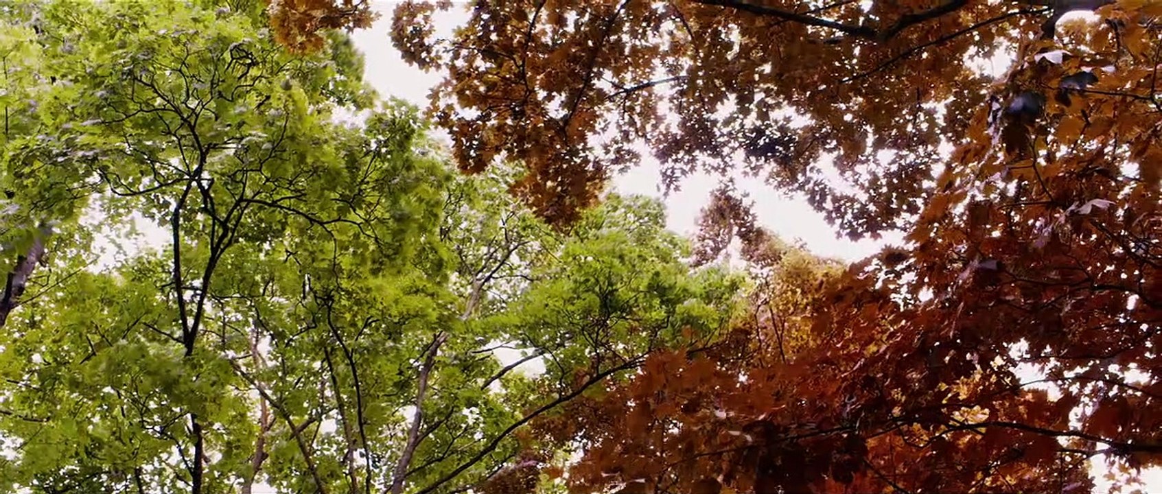 Blau ist eine warme Farbe Trailer DF