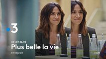 Plus belle la vie l'intégrale (France 3) bande-annonce