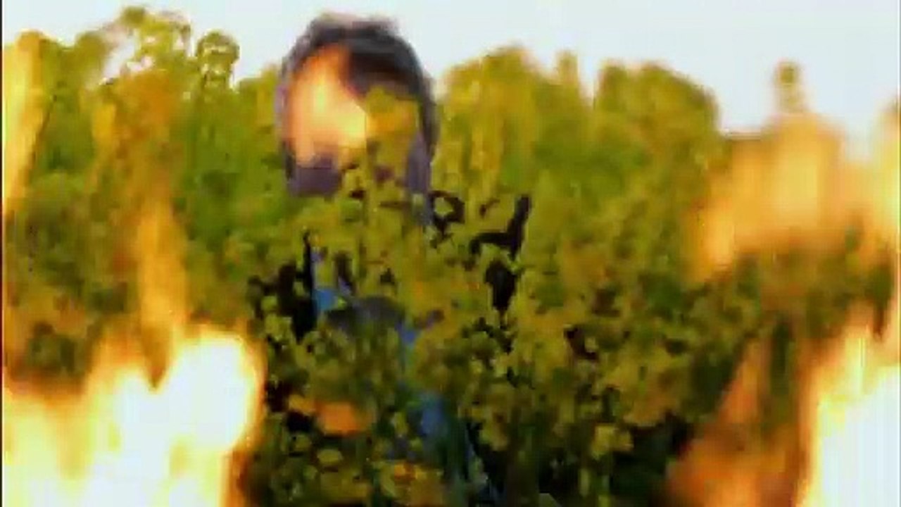 Kommissar Wallander Trailer DF