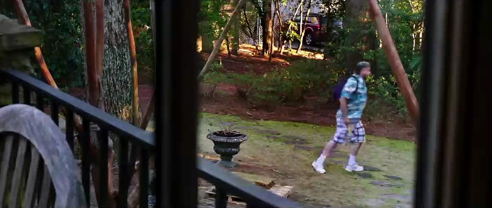 The Fanatic Trailer DF