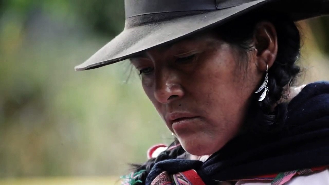 La Búsqueda Trailer OV