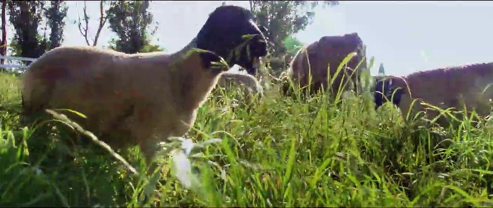 Unsere große kleine Farm Trailer DF